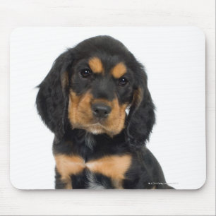 Alfombrilla De Ratón Retrato del estudio del perrito de Rottweiler