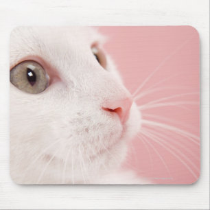 Alfombrilla De Ratón Retrato del gato