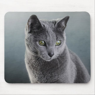 Alfombrilla De Ratón Retrato del gato