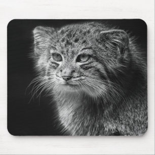 Alfombrilla De Ratón Retrato del gato de Pallas