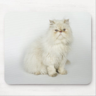 Alfombrilla De Ratón Retrato del gato persa