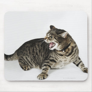 Alfombrilla De Ratón Retrato del gato que silba