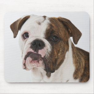 Alfombrilla De Ratón Retrato del perrito lindo del bulldog