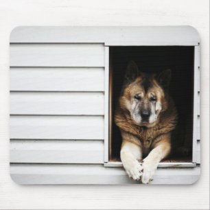 Alfombrilla De Ratón retrato del perro