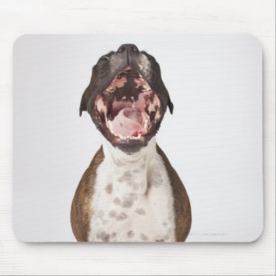 Alfombrilla De Ratón retrato del perro del boxeador que bosteza