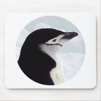 Alfombrilla De Ratón Retrato del pingüino de Chinstrap