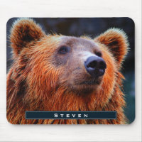Retrato personalizado de oso marrón de vida silves