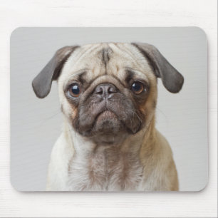 Alfombrilla De Ratón Retrato Pug