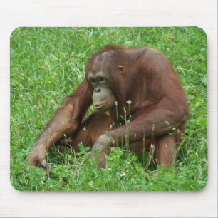 Alfombrilla De Ratón Retrato que se sienta Mousepad del orangután