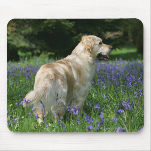 Alfombrilla De Ratón Retreiver de oro en flores