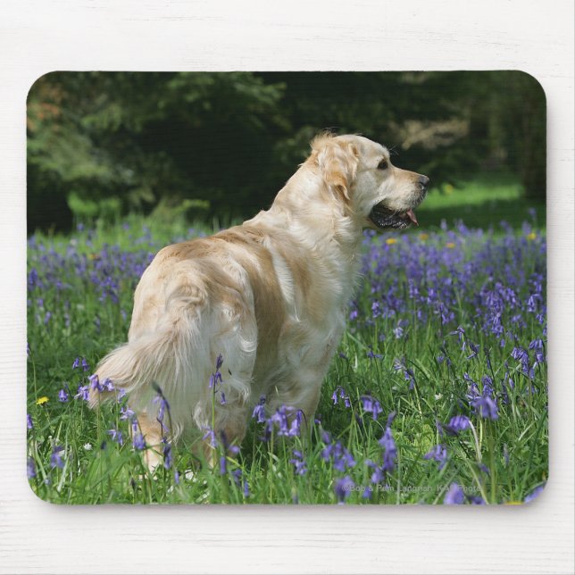 Alfombrilla De Ratón Retreiver de oro en flores (Frente)