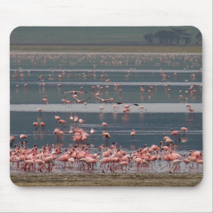 Alfombrilla De Ratón Reunión Flamingo - Mousepad