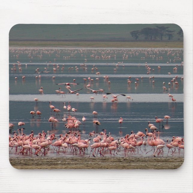 Alfombrilla De Ratón Reunión Flamingo - Mousepad (Frente)