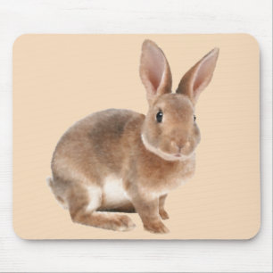 Alfombrilla De Ratón Rex Rabbit