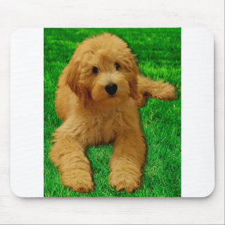Alfombrilla De Ratón Rex The Goldendoodle