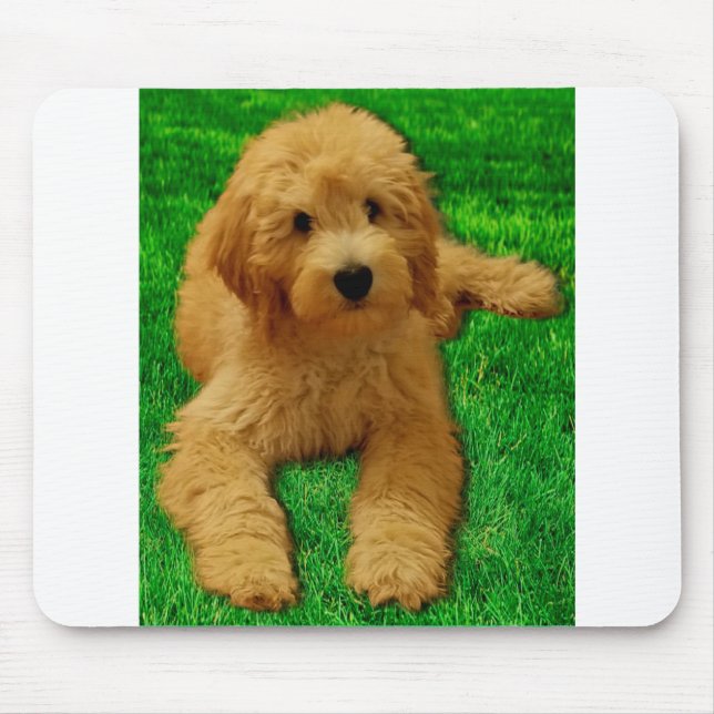 Alfombrilla De Ratón Rex The Goldendoodle (Frente)