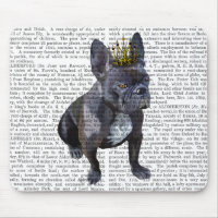 Rey Bulldog francés