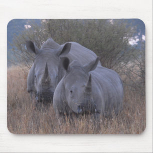 Alfombrilla De Ratón Rhinos blancos