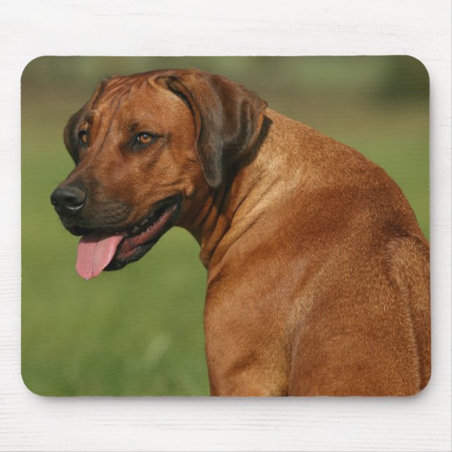 Alfombrilla De Ratón Rhodesian Ridgeback Mousepad (Frente)