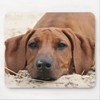 Alfombrilla De Ratón Rhodesian Ridgeback Muismat
