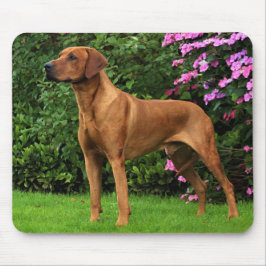 Alfombrilla De Ratón Rhodesian Ridgeback Muismat