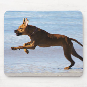 Alfombrilla De Ratón Rhodesian Ridgeback - salto