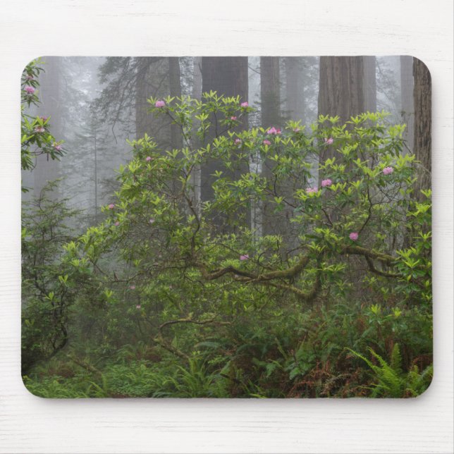 Alfombrilla De Ratón Rhododendron en el Parque Nacional Redwood en Cali (Frente)