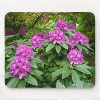 Alfombrilla De Ratón Rhododendron Ponticum