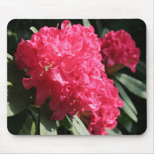 Alfombrilla De Ratón Rhododendron rosa