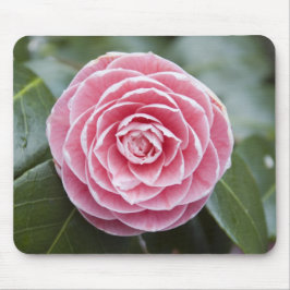 Alfombrilla De Ratón Rhododendron rosa Mousepad