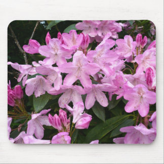 Alfombrilla De Ratón Rhododendros II