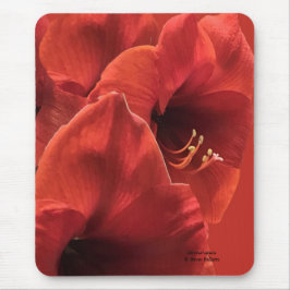 Alfombrilla De Ratón Rich Earthy Ruby Red Amaryllis Composite Photo