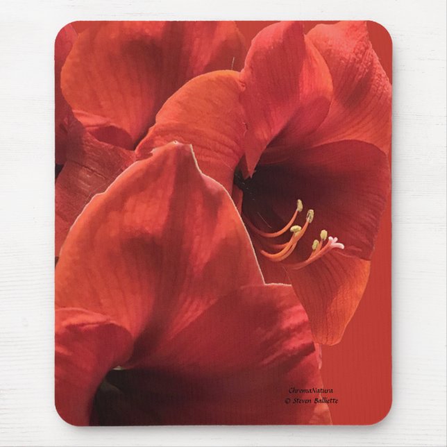 Alfombrilla De Ratón Rich Earthy Ruby Red Amaryllis Composite Photo (Frente)