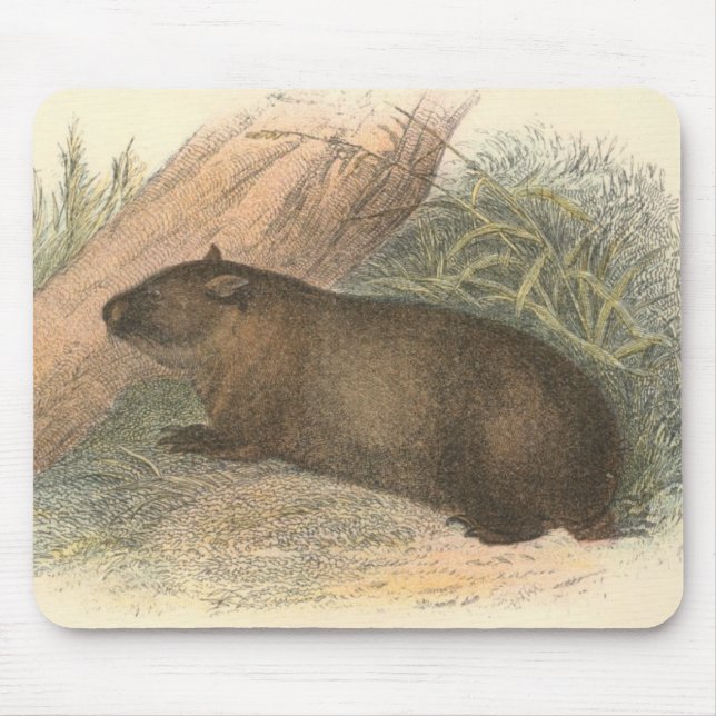 Alfombrilla De Ratón Richard Lydekker - Wombat tasmano (Frente)