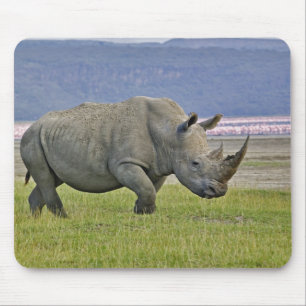 Alfombrilla De Ratón Rinocerontes blancos y flamencos menores distantes