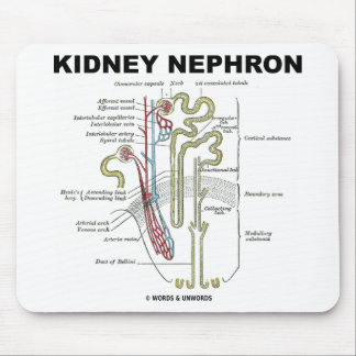 Alfombrilla De Ratón Riñón Nephron