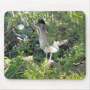 Alfombrilla De Ratón Roadrunner estadounidense en el desierto de Arizon