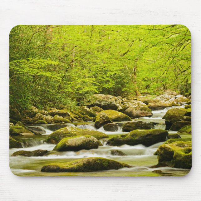 Alfombrilla De Ratón Roaring Fork en primavera (Frente)