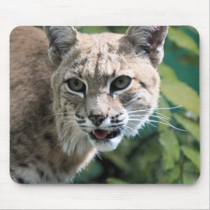Alfombrilla De Ratón Robert J. Bobcat