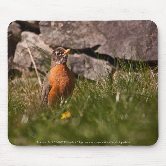 Alfombrilla De Ratón Robin estadounidense (Frente)