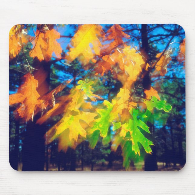Alfombrilla De Ratón Robles negros soplan en el viento (Frente)