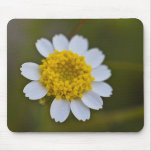 Alfombrilla De Ratón Rock Daisy Mousepad