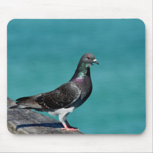 Alfombrilla De Ratón Rock Pigeon