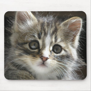 Alfombrilla De Ratón Rocky el gatito Mousepad