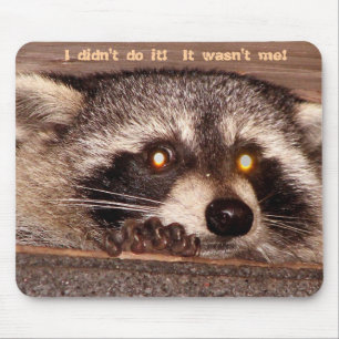 Alfombrilla De Ratón ¡Rocky, no lo hice!  ¡No era yo!