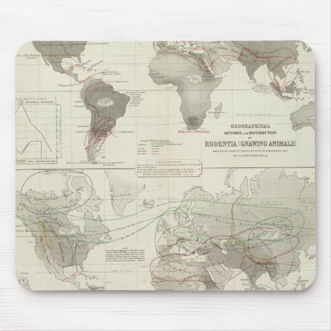 Alfombrilla De Ratón Rodentia, ruminantia (Frente)