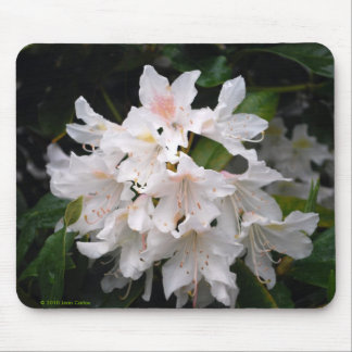Alfombrilla De Ratón Rododendro blanco Mousepad