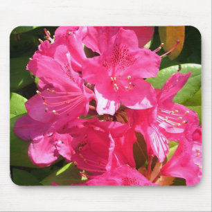 Alfombrilla De Ratón rododendro rosa
