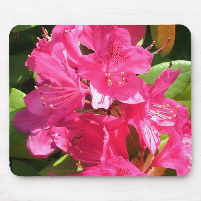 Alfombrilla De Ratón rododendro rosa (Frente)