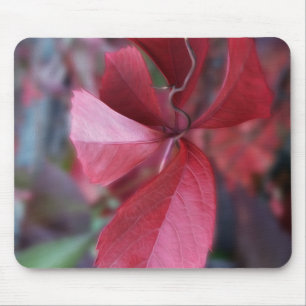 Alfombrilla De Ratón Rojo de otoño